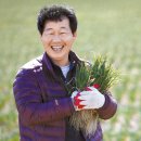 농사꾼유통 이미지