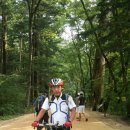 이효석길 이미지