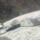 비둘기길 이미지