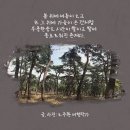 한송 이미지