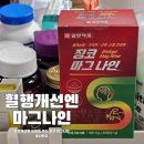 대상약품 | 혈행개선영양제 고민 끝! 일양약품 징코 마그나인 선택한 이유?