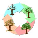 Contribution&Growth