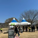 해우건어물 | 전남 경남 근교 데이트 코스 광양 매화축제 주차장 버스 입장료 실시간 등 기본 정보 꿀팁 및 후기