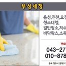 부성세정