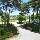 곡성읍 죽동리 마을회관 | [전라남도 곡성군] 미실란 반하다&amp;카페 씨앗의 마음