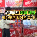 세일마트 | 롯데마트 연중 최대 세일 다녀온 후기 4월 메가통큰 성정점 롯데마트 전단지