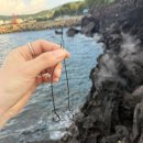 강담 | 제주 돌돔/강담돔 도보권 찌낚시(+미끼 입질 비교)