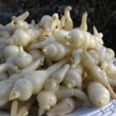 가남정보화마을 이미지