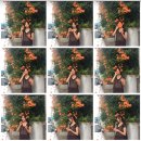 칠성로2길 이미지