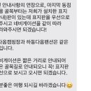 다옴 캠핑장 이미지