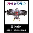 연 이미지