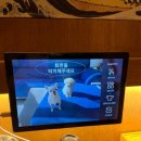 구라파 이미지