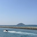 하우목동항 이미지