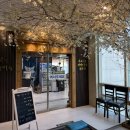 회랑장어랑 이미지