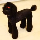 해시도그 이미지