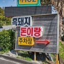 제주달곰 이미지