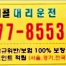 애니콜대리 이미지