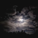 경호농장 이미지