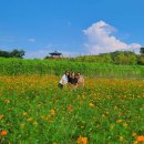 현대종합특수강 증평공장 이미지