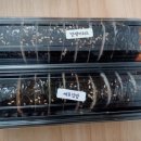 신광농장2 이미지