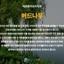 조선치과 티스토리