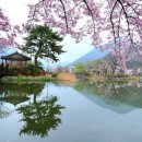 삼 세번의 지혜 이미지