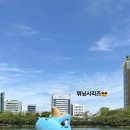 단디 Daum카페