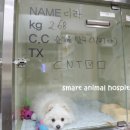 리라동물병원 이미지