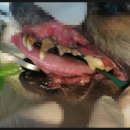 행담 동물병원 이미지