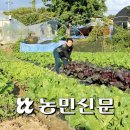 반월농협 로컬푸드직매장 이미지