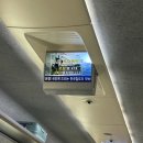 포항시북구37 | [포항여행] 코스 추천 및 솔직 후기ㅣ롯데 렌터카 + 오브레멘 카페 + 영일교 + 죽도시장 먹거리(대게)