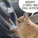 (주)무지개토끼 이미지