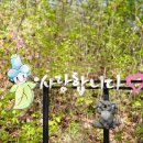 동화마을수목원 네이버블로그