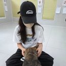 법인진양호힐링센터 | 유기견 봉사활동 포캣멍 센터 봉사 후기, 준비물