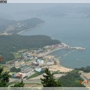 어류포대합실 Daum카페