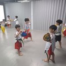 경희대 최강 MTA 태권도 이미지