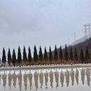 퍼펙트모터스 | [기장카페추천] 기장 카페 탄티(TANTI)방문후기/주차,자리,메뉴 총 모든정보 정리