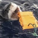 360-1-000049 이미지