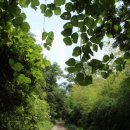 계룡산골프장 이미지