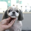 멍분의 멍 이미지