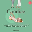 다이스몰 네이버블로그