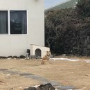 온온종달 이미지