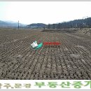 소백산주유소 이미지
