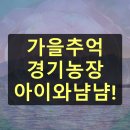 가을 자연물을 활용한 위빙 액자 | 경기도 가을 농장 체험 아이들과 추억 만들기