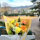 스튜디오차상 이미지