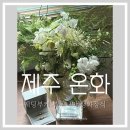 제주웨딩스냅 제주온화 onhwa 꽃다발 후기: 부케 부토니아 생화장식 예약, 가격, 청담지민 제휴혜택