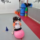 태권도&점프윙스 이미지