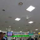 분당용인운전면허 이미지