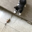 나영세탁소 이미지