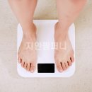 지안팜퍼니